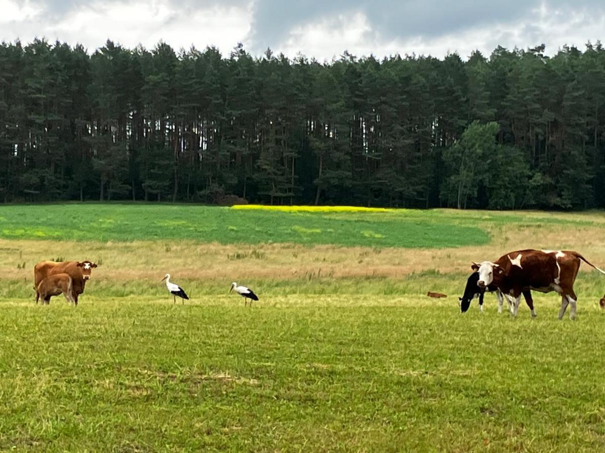 Hotel Mazury Glamping Kruklanki Polana Zyczen Exteriér fotografie